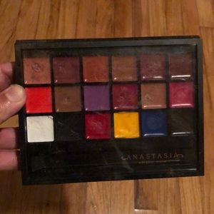 Anastasia lip palette used once